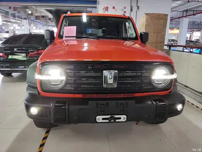 2021 Tank 300 Off-road Version 2.0T Conqueror, фото 3, лот 10345393