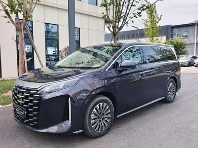 2025 BYD Xia DM-i 1.5T 180km Excellence, фото 1, лот 10248685