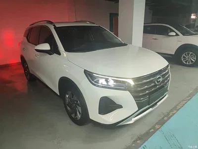 2020 GAC Trumpchi Trumpchi GS4 270T Automatic Elite Tech Version, фото 4, лот 10422670