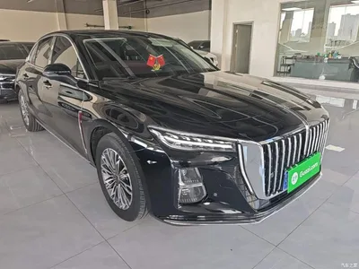 2025 Hongqi H5 1.5T DCT Flag Rhythm 500,000 Units Memorial Edition, фото 4, лот 10416422
