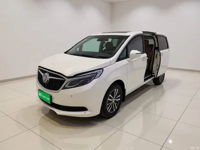 2017 Buick GL8 ES 28T Flagship China V, фото 1, лот 10262303
