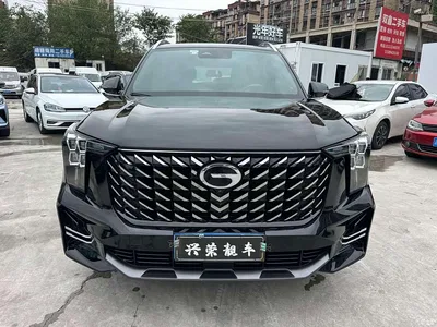 2024 GAC Trumpchi Trumpchi GS8 Navigator Series 2.0TGDI 2WD Luxury Smart Connect Edition, фото 2, лот 10804699