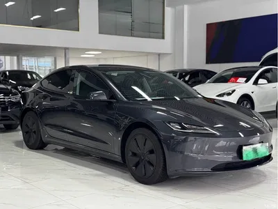 2025 Tesla Model 3 Model Rear-Wheel Drive Edition, фото 3, лот 10366474