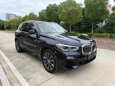 2020 BMW X5 (Import) xDrive40i M Sport Package, фото 3, лот 10241410