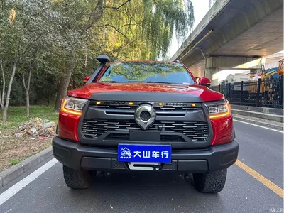 2020 Great Wall Pao 2.0T Off-road Automatic Gasoline 4WD Limited GW4C20B, фото 2, лот 10246362