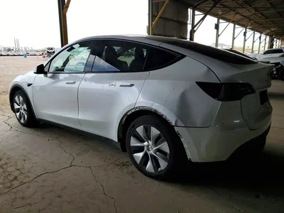 2020 TESLA MODEL Y, фото 2, лот 10851608