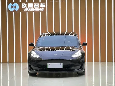 2021 Tesla Model 3 Standard Range Rear-Wheel Drive Upgrade 3D6, фото 2, лот 10382121