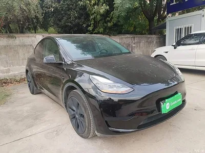 2023 Tesla Model Y Rear-Wheel Drive Edition, фото 4, лот 10455433