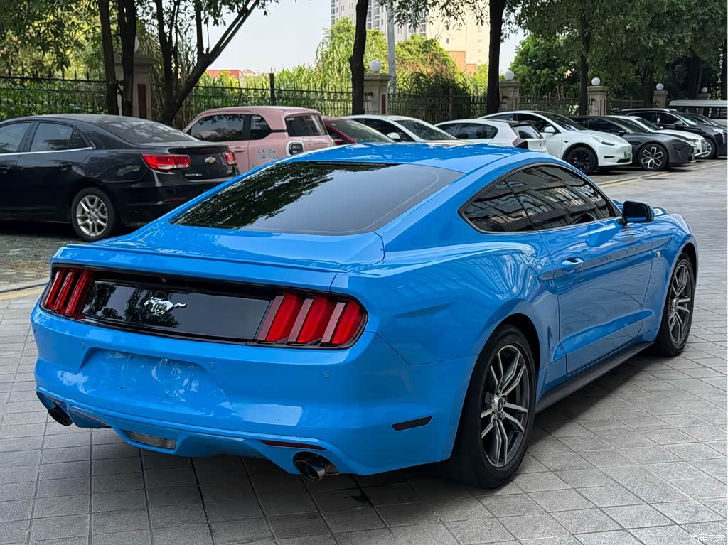 2017 Ford Mustang 2.3T Performance Edition, фото 4, лот 11215892