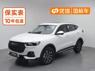 2023 Haval H6 National Trend Edition 1.5T Automatic Urban, фото 1, лот 10297597