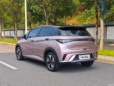 2025 BYD Dolphin 420km Fashion Edition, фото 4, лот 10679676