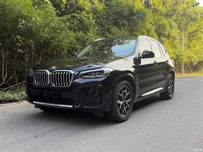 2023 BMW X3 xDrive25i M Sport Package, фото 2, лот 10460657