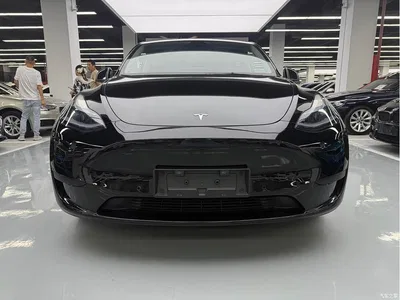 2023 Tesla Model Y Rear-Wheel Drive Edition, фото 2, лот 11018128