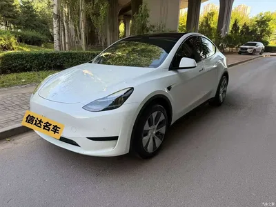 2022 Tesla Model Y Rear-Wheel Drive Version, фото 1, лот 10766073
