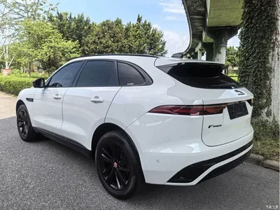 2023 Jaguar F-PACE P250 R-Dynamic BLACK, фото 4, лот 10290032