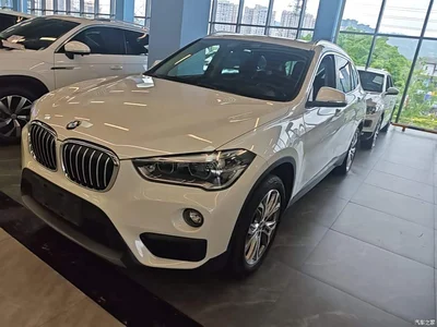2019 BMW X1 sDrive20Li Leading Model, фото 1, лот 10467948