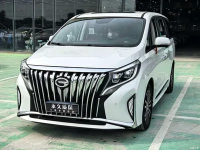 2021 GAC Trumpchi Trumpchi M8 Leading Show Series 390T Prestige Edition, фото 1, лот 10440102