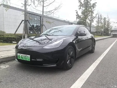 2022 Tesla Model 3 Model Rear-Wheel Drive Version, фото 1, лот 11182257