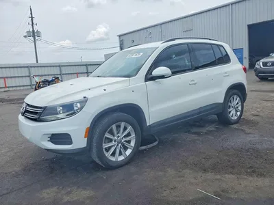 2017 VOLKSWAGEN TIGUAN S, фото 1, лот 10831651