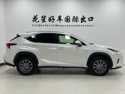 2020 Lexus NX 200 AWD F Sport China VI, фото 4, лот 10317217