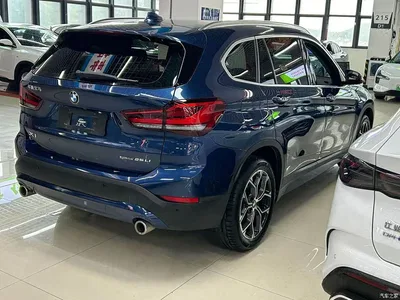 2020 BMW X1 sDrive25Li Leading Model, фото 4, лот 11438101