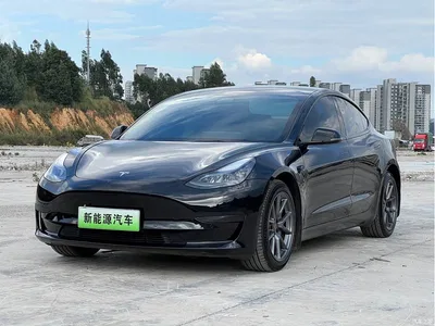 2022 Tesla Model 3 Model Rear-Wheel Drive Version, фото 1, лот 10620118