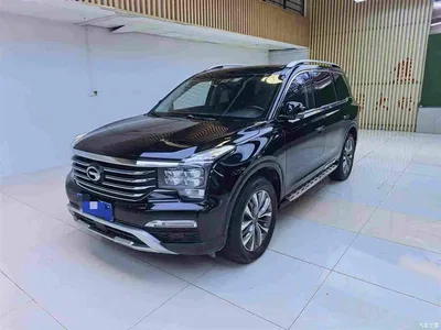 2017 GAC Trumpchi Trumpchi GS8 320T 2WD Luxury Smart Connect (7-seater), фото 1, лот 11460792