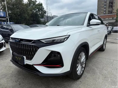 2022 Changan Oshan X7 PLUS 1.5T Blue Whale Edition Auto Executive, фото 1, лот 10404395