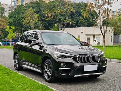 2019 BMW X1 xDrive20Li Premium Model, фото 3, лот 10406078