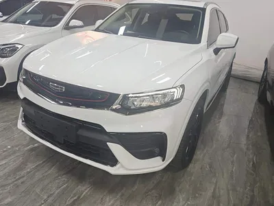 2021 Geely Xingyue S 2.0TD DCT Two-Wheel Drive Lightning Edition, фото 1, лот 11103200
