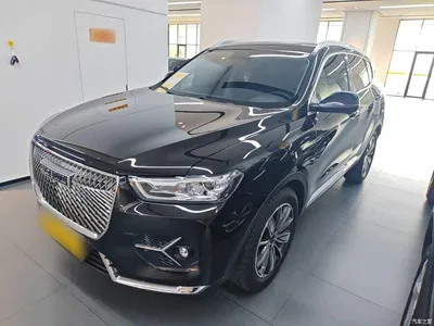 2021 Haval H6 Model 1.5T Automatic Champion Edition, фото 2, лот 10285480