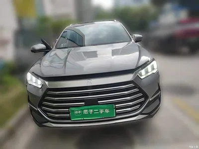 2022 BYD Song Pro New Energy DM-i 51km Premium, фото 2, лот 11107106