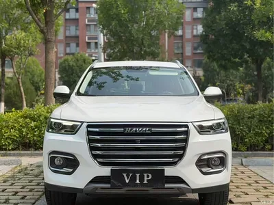 2020 Haval H6 1.5GDIT Automatic Platinum Champion Edition, фото 2, лот 10301451