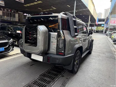2023 Jetour Traveler Model 2.0T 4WD Cross PRO, фото 4, лот 10425726
