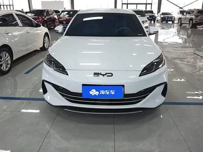 2024 BYD Seal 06 New Energy DM-i 80KM Prestige, фото 2, лот 11103204