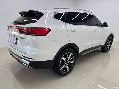 2023 Haval H6 National Trend Edition 1.5T Automatic Champion, фото 4, лот 11580457