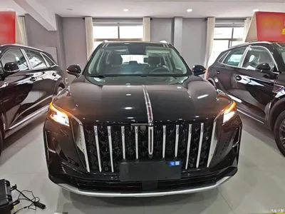 2026 Hongqi HS5 2.0T 2WD Qi Rhythm Pro Edition, фото 3, лот 10389146