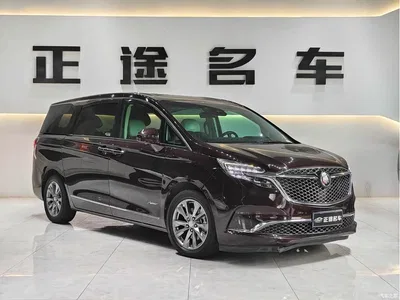 2020 Buick GL8, фото 4, лот 10242476