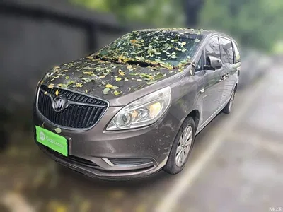 2017 Buick GL8 25S Luxury China V, фото 1, лот 10262247