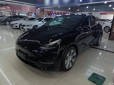 2021 Tesla Model Y Standard Range Rear-Wheel Drive, фото 1, лот 10370821