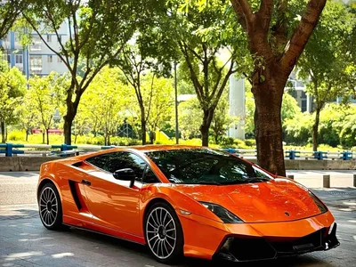 2012 Lamborghini Gallardo LP 560-4 Gold Edition, фото 3, лот 10309709