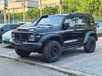 2023 Tank 300 2.0T Iron Cavalry 02, фото 1, лот 10344795