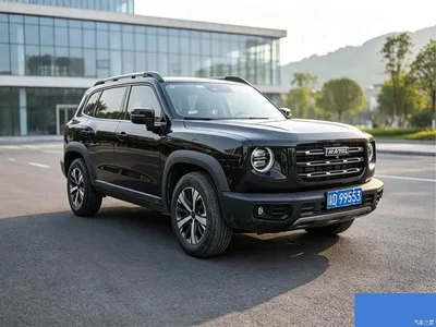 2021 Haval Big Dog 1.5T DCT 2WD Border Collie Edition, фото 2, лот 11199578
