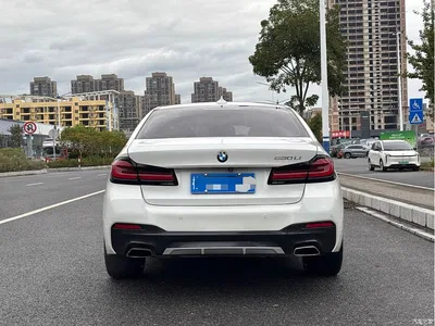 2018 BMW 5 Series 530Li Exclusive Luxury Package, фото 4, лот 10449998