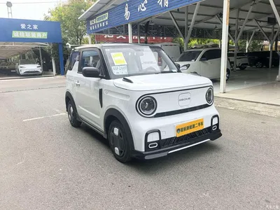 2025 Geely Galaxy Panda Model Year 210km Panda Kart, фото 2, лот 10625687