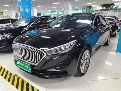 2022 Hongqi H5 Classic Facelift 1.5T DCT Flag Rhythm Edition, фото 2, лот 11518766
