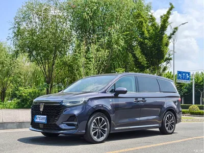 2022 Roewe iMAX8 400TGI Gathering Edition, фото 1, лот 10339045