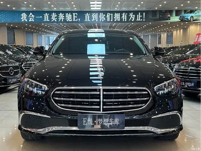 2023 Mercedes-Benz E-Class E 300 L Luxury, фото 1, лот 11180097