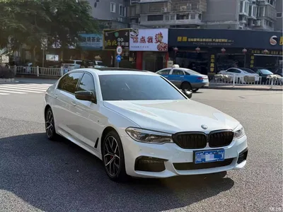 2019 BMW 5 Series 530Li Premium M Sport Package, фото 3, лот 10615589