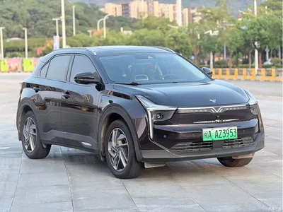 2021 Nezha Auto Neta U Pro 500 Lunar Edition, фото 3, лот 11138977